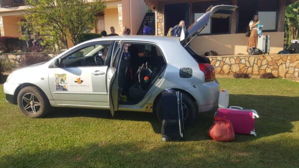 Car Hire and Rentals Services